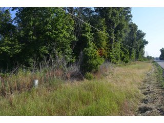 Property photo 49 - 64 Acre Farm Offered in 4 Tracts or in Combinations - Real Estate Auction
